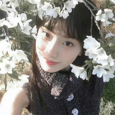 百合与直觉